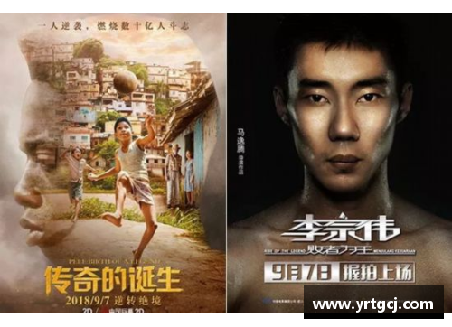体育明星的动画冒险之旅全景回顾视频大合集揭秘精彩瞬间与传奇故事