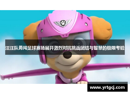 汪汪队勇闯足球赛场展开激烈对抗挑战团结与智慧的极限考验
